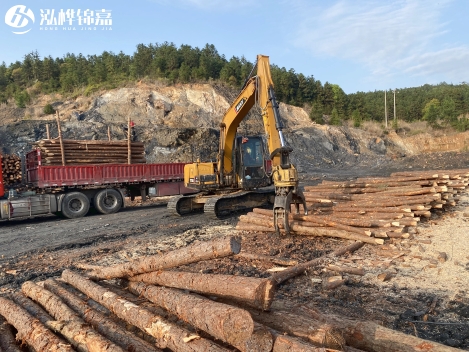 松木樁批發(fā)價(jià)格是多少?