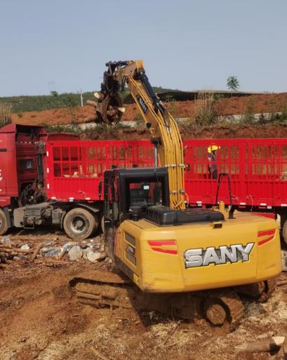 <a href=http://www.vckoom.cn/ target=_blank class=infotextkey>松木樁</a>原木