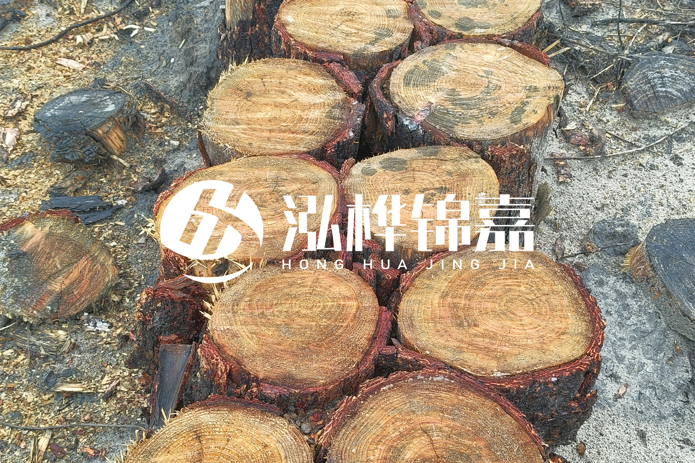 浙江臺州有清淤的公司嗎？浙江臺州有清淤施工隊嗎？