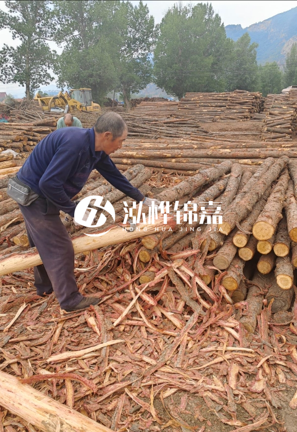 東營河道清淤專業(yè)施工隊-不同型號挖機清淤能力對比?