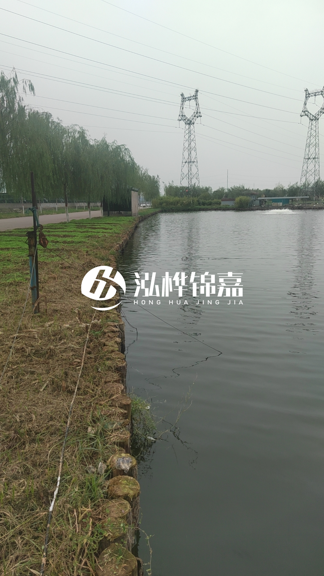 臺州挖機打木樁專業施工-松木樁打樁木的密度對打樁效果有影響嗎？