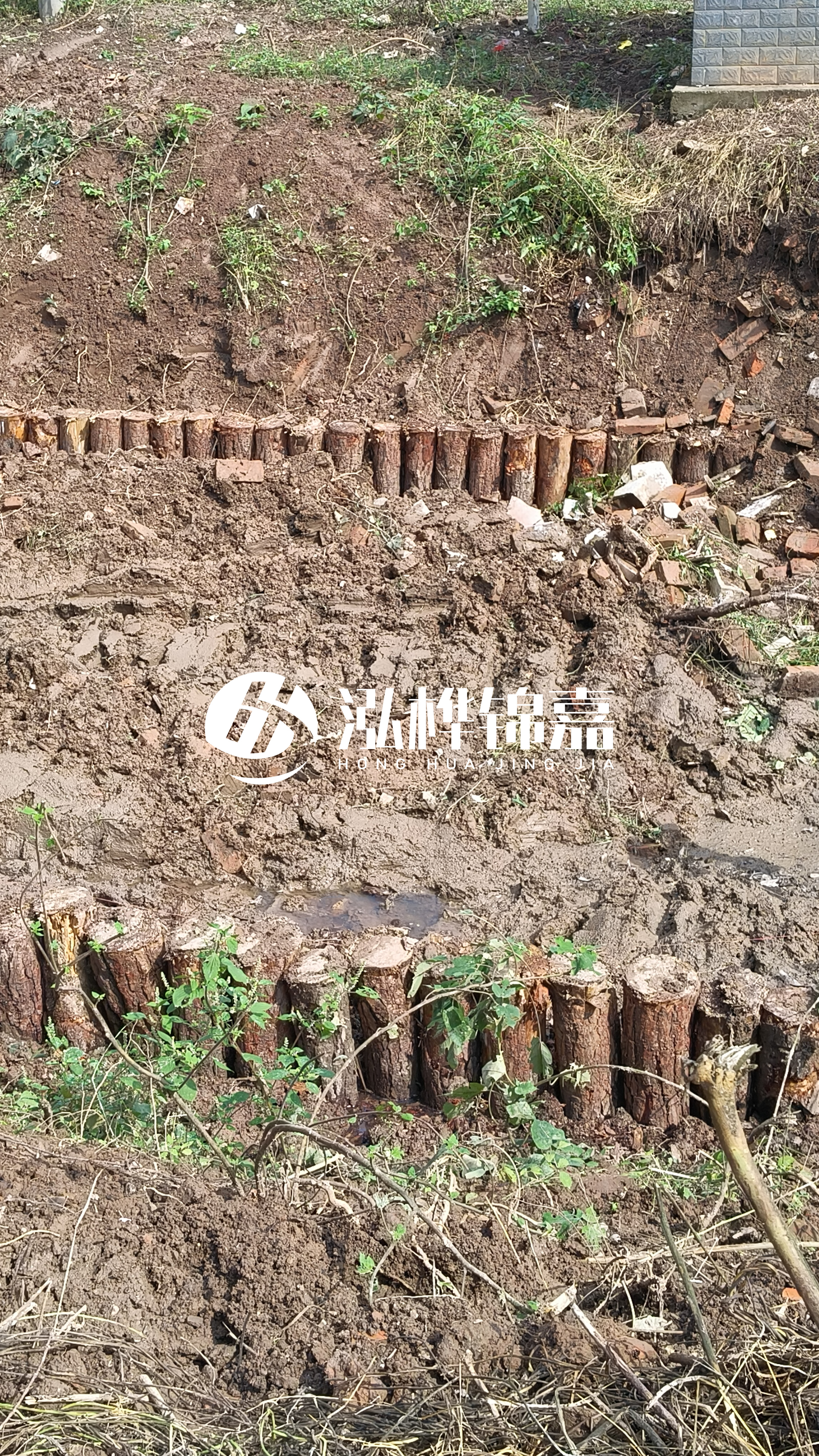 麗水挖機打木樁專業施工-松木樁打樁木在濕地環境打樁要注意什么？