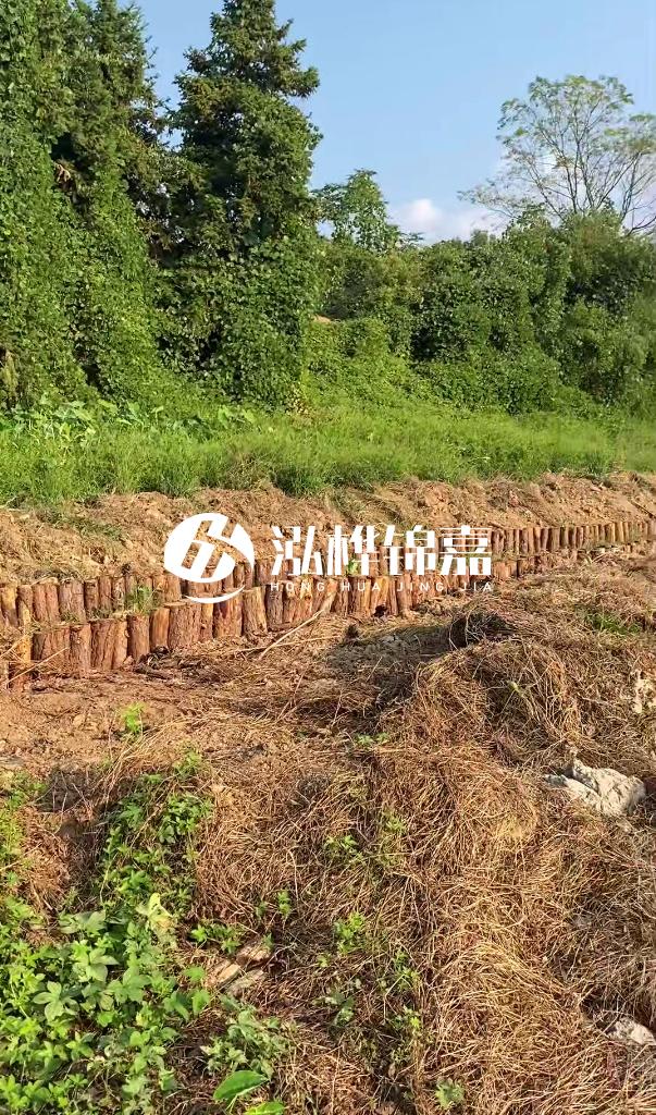 許昌河道清淤專(zhuān)業(yè)施工-河道污水治理要多長(zhǎng)時(shí)間?