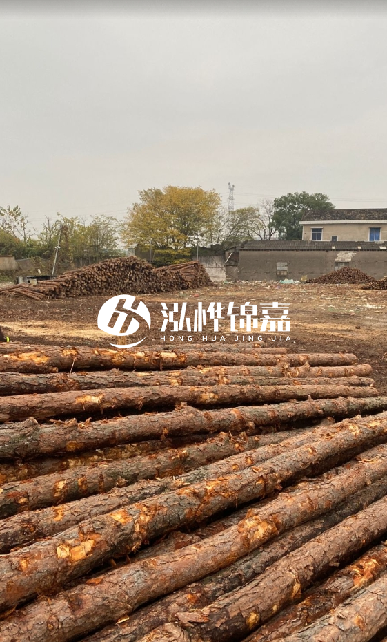 欽州松木樁源頭廠家-松木樁河道治理相比其他材料有何優(yōu)勢(shì)？