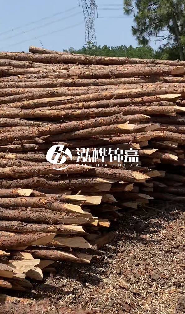 銅仁市挖機打木樁專業施工-河道松木樁水面需要預留多少？