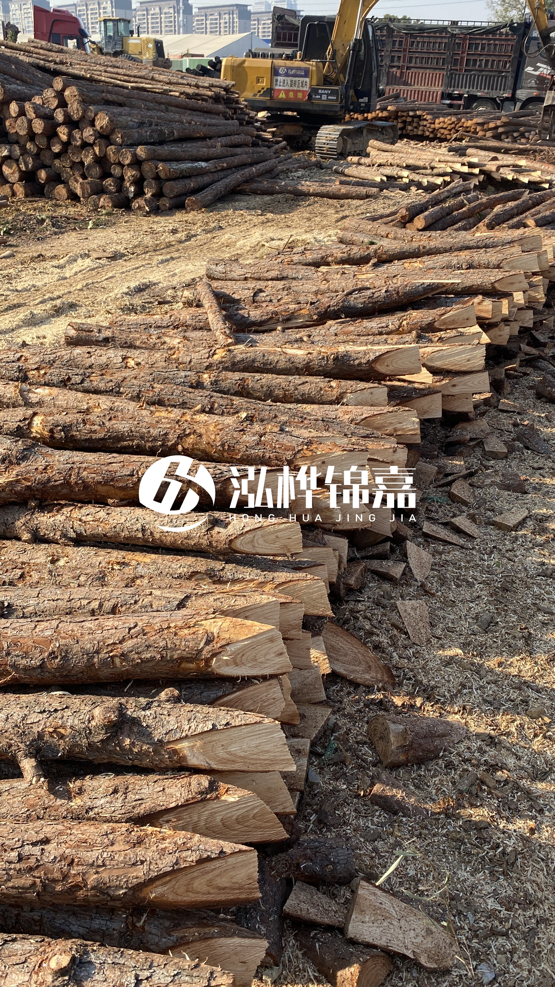 延安松木樁批發源頭廠家-杉木樁直徑按大頭算嗎？