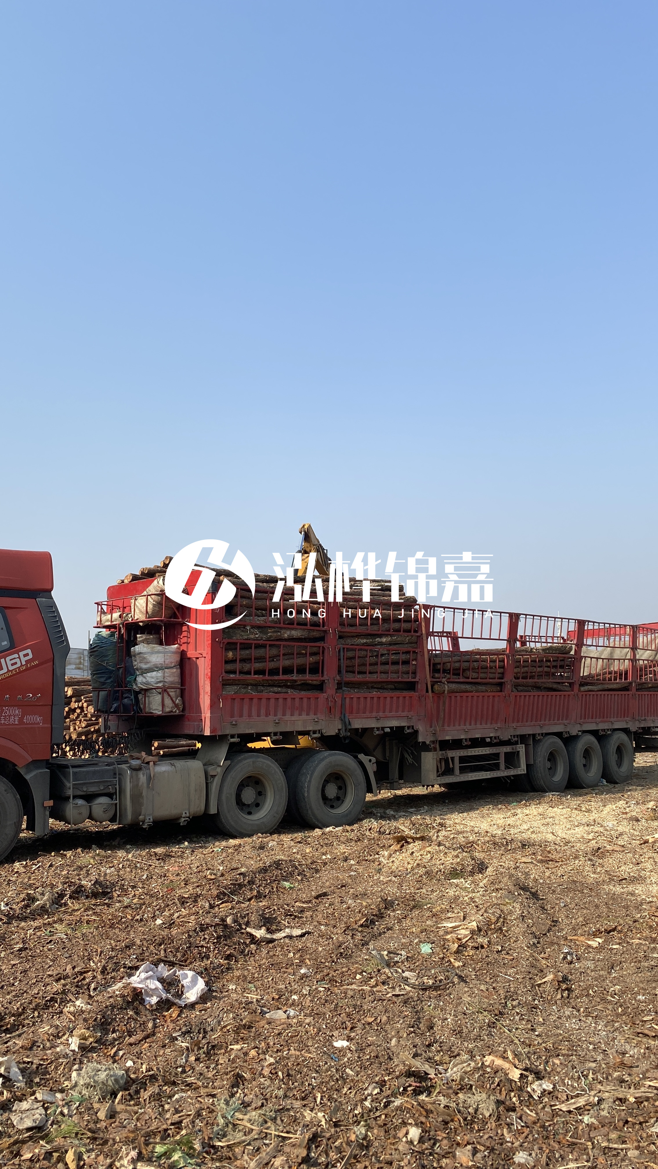 蘭州松木樁批發源頭廠家-落葉松與濕地松的主要區別？