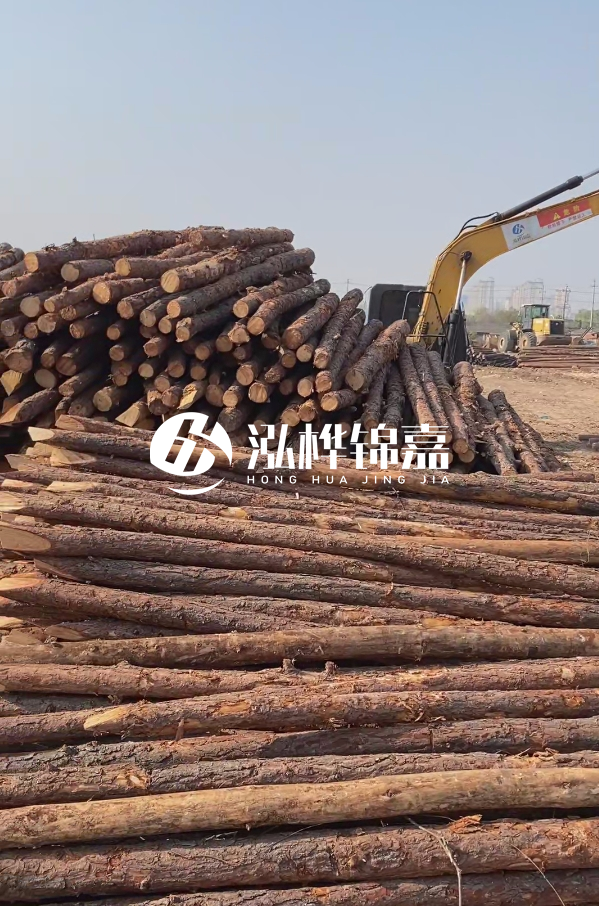 油松用于打樁木到底好不好？讓專業(yè)打樁隊(duì)告訴你！