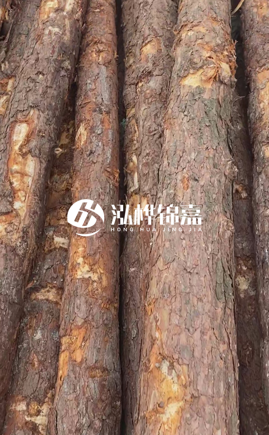 浙江地區(qū)大量供應(yīng)松木樁，源頭廠家在哪里？