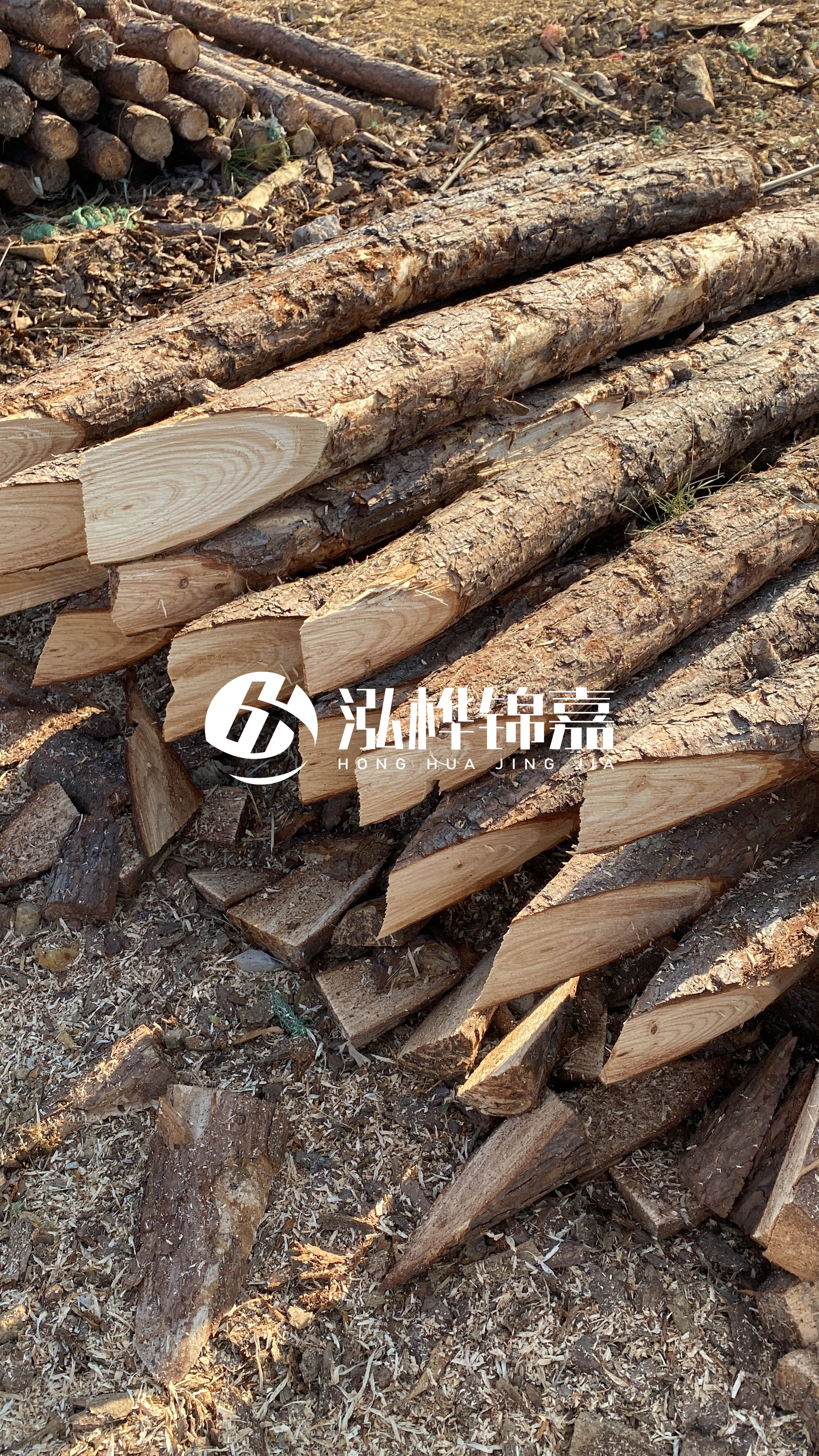 3米8公分松木樁價(jià)格是多少？市場(chǎng)最新報(bào)價(jià)大公開！