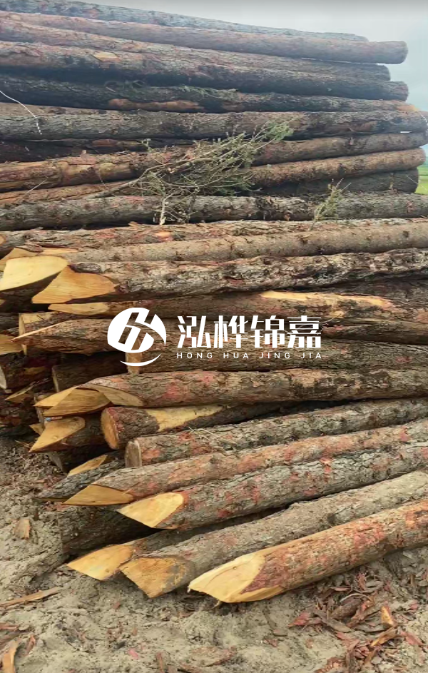 松木樁4米長(zhǎng)尾徑14厘米價(jià)格是多少？一立方米有多少根？