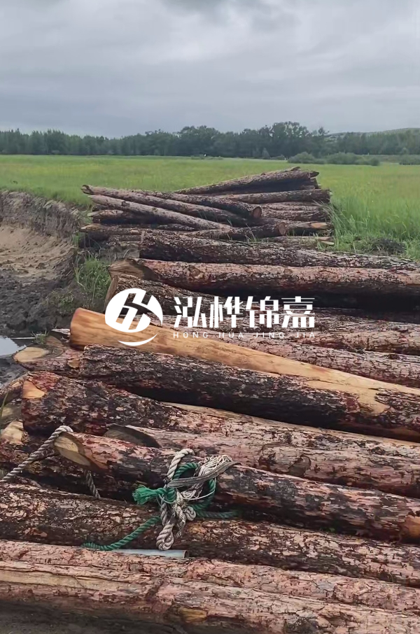 4米松木樁多少錢一根？松木樁預(yù)算單價(jià)怎么算的？