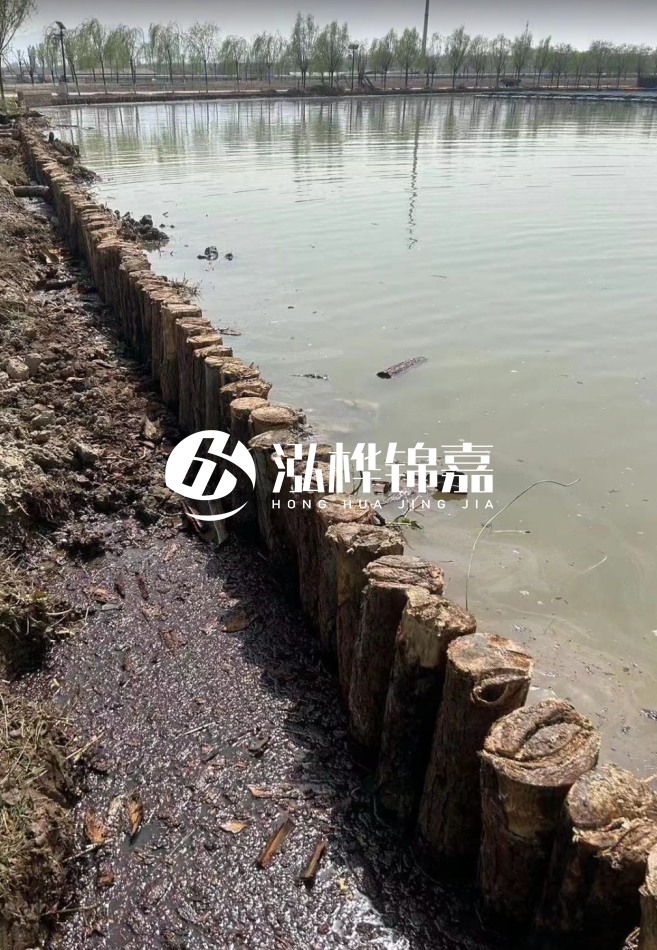 長(zhǎng)沙松木樁批發(fā)市場(chǎng)在哪？廠家地址是多少？