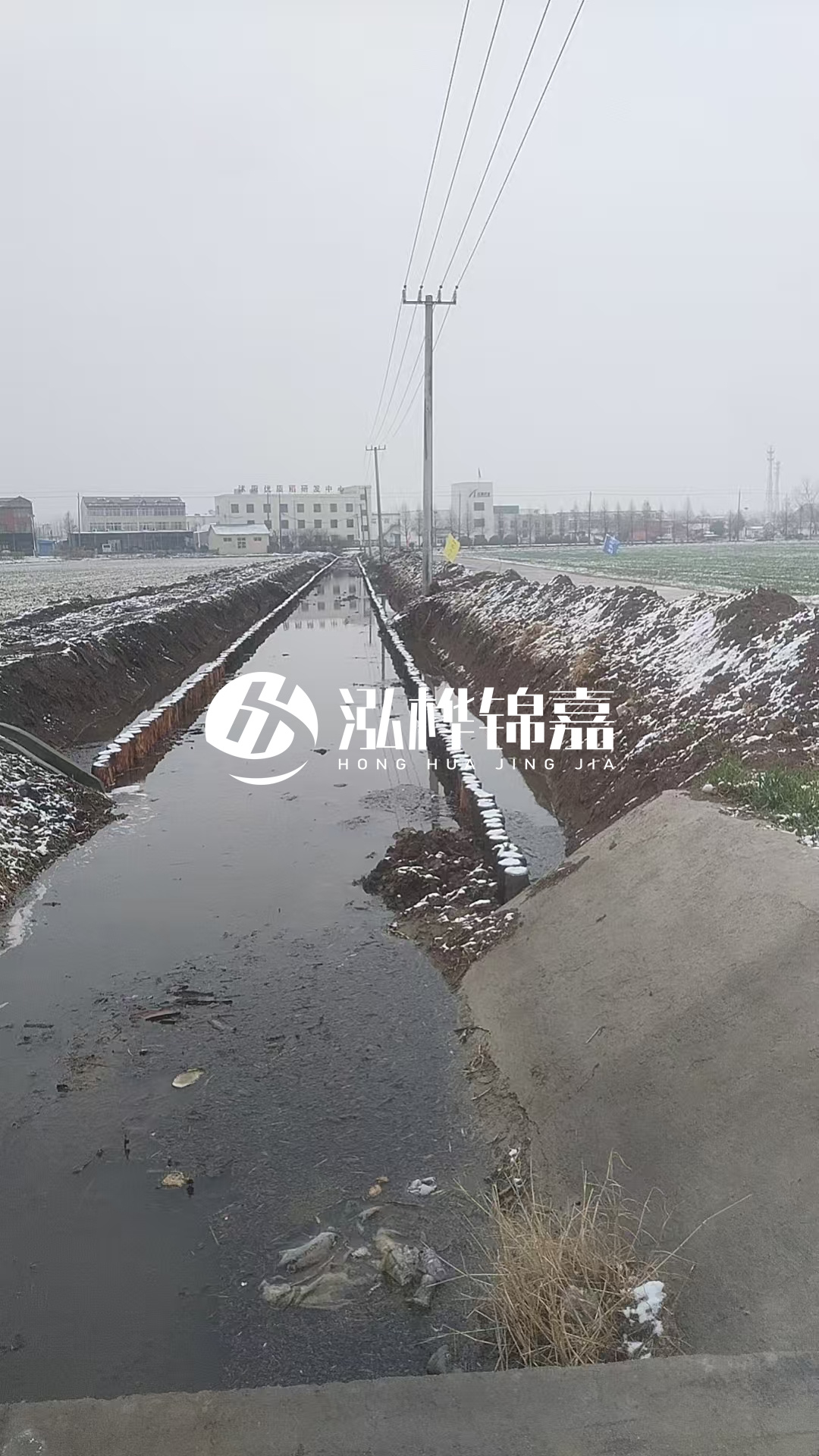 4米松木樁和杉木樁價格相差多少？哪個更便宜？