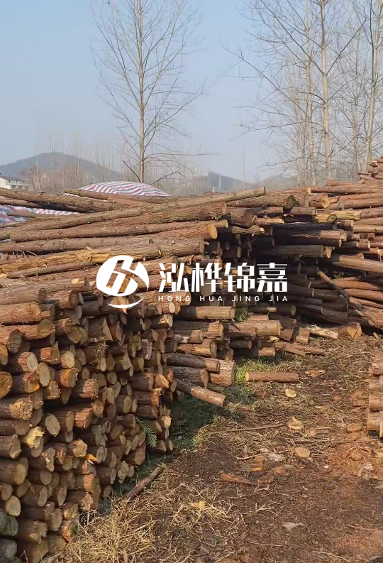 打杉木樁多少錢一根-一天能打多少根？