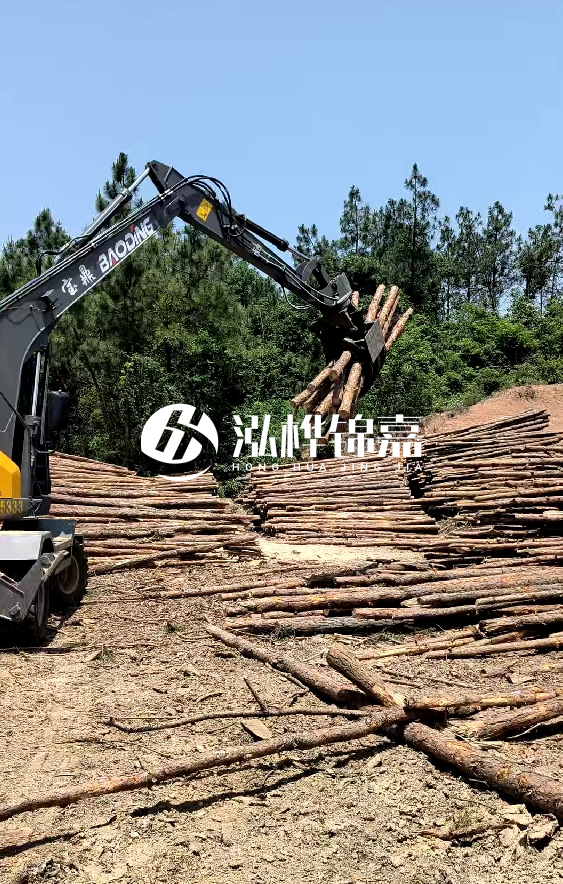 云南4米松木樁批發(fā)價格多少-4米小頭13-15直徑多少錢一根?