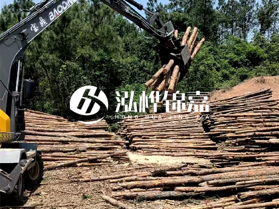 3米松木樁小頭10公分多少錢(qián)一根？大頭10公分又是多少錢(qián)？