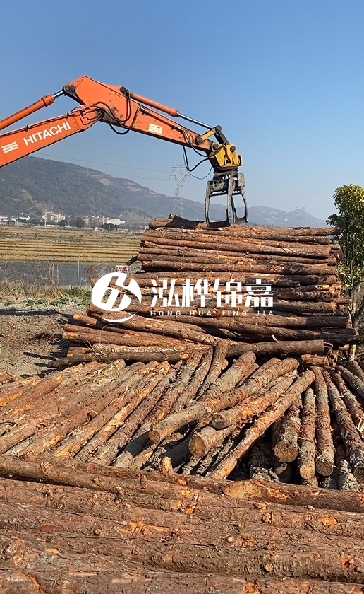 帶皮松木樁的防腐效果如何？和不帶皮松木樁價(jià)格差異有多大？