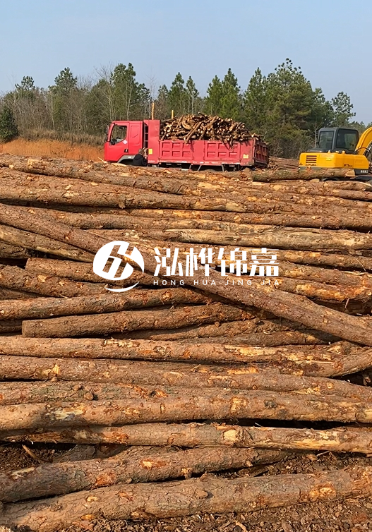 8米小頭11-13CM的松木樁價格是多少？打樁施工怎么算？