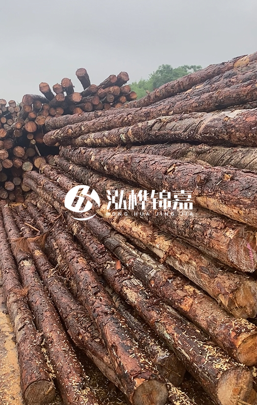 購買松木樁注意事項有哪些-不同直徑松木樁區別有哪些？