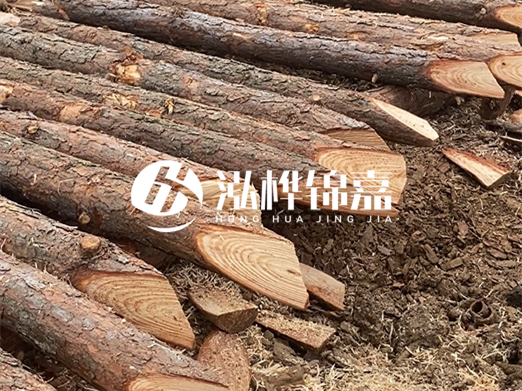 松木樁削尖的費用怎么算？按根收費還是包含在單價里？