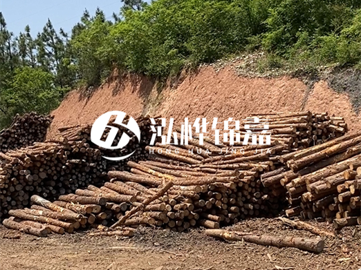 油松打樁木和落葉松打樁木的價格差異是多少？哪個性價比更高？