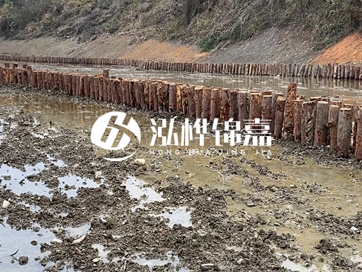 甘肅松木樁源頭廠家泓樺錦嘉-松木樁價格4米多少一根?