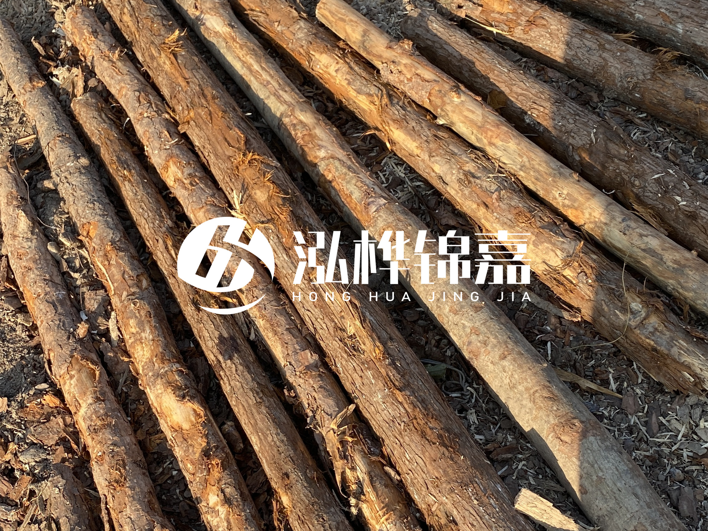 河道木樁多少錢一根?河道木樁的使用以及保養(yǎng)方法?