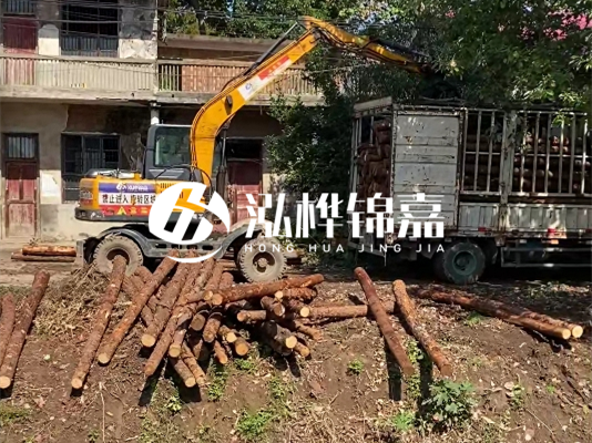 怎么把松木樁打到土里？松木樁要打進去多深？