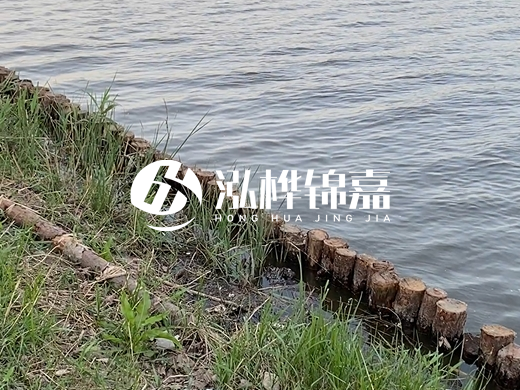防洪松木樁施工重要性？河道打木樁的位置怎么確定？