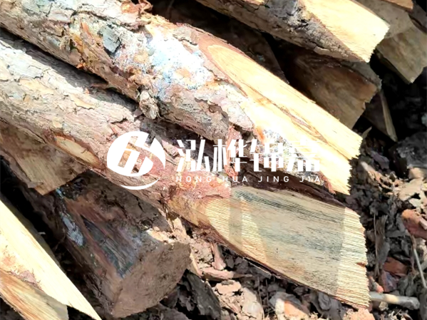 護坡打樁對河岸穩定性提升效果如何？打樁木密度對效果有影響嗎？