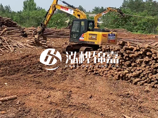 河道松木樁廠家聯系方式-6米10-15公分價格是多少？