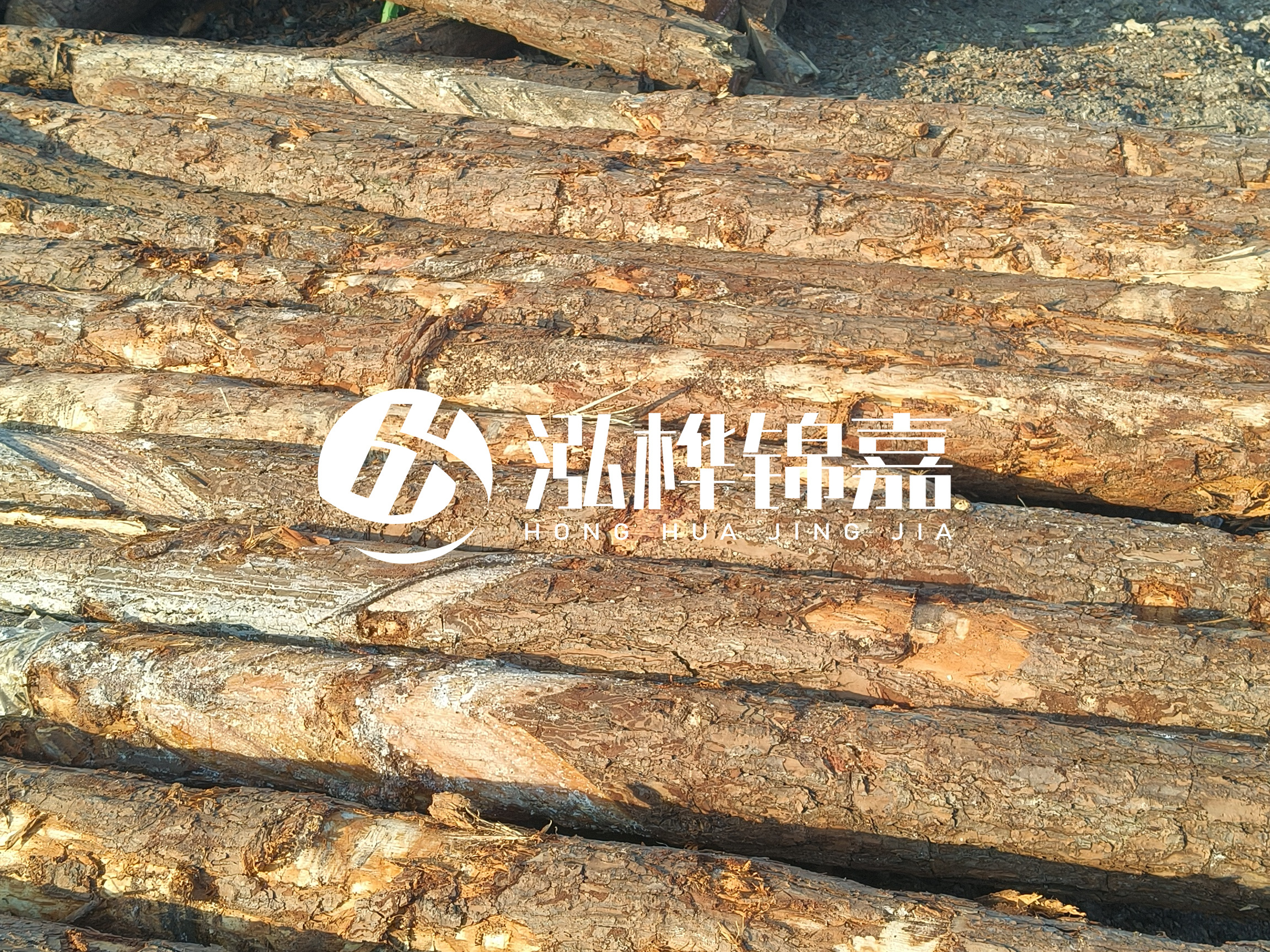 河道木樁的含水率過高會有什么問題？怎么檢查松木樁含水率？