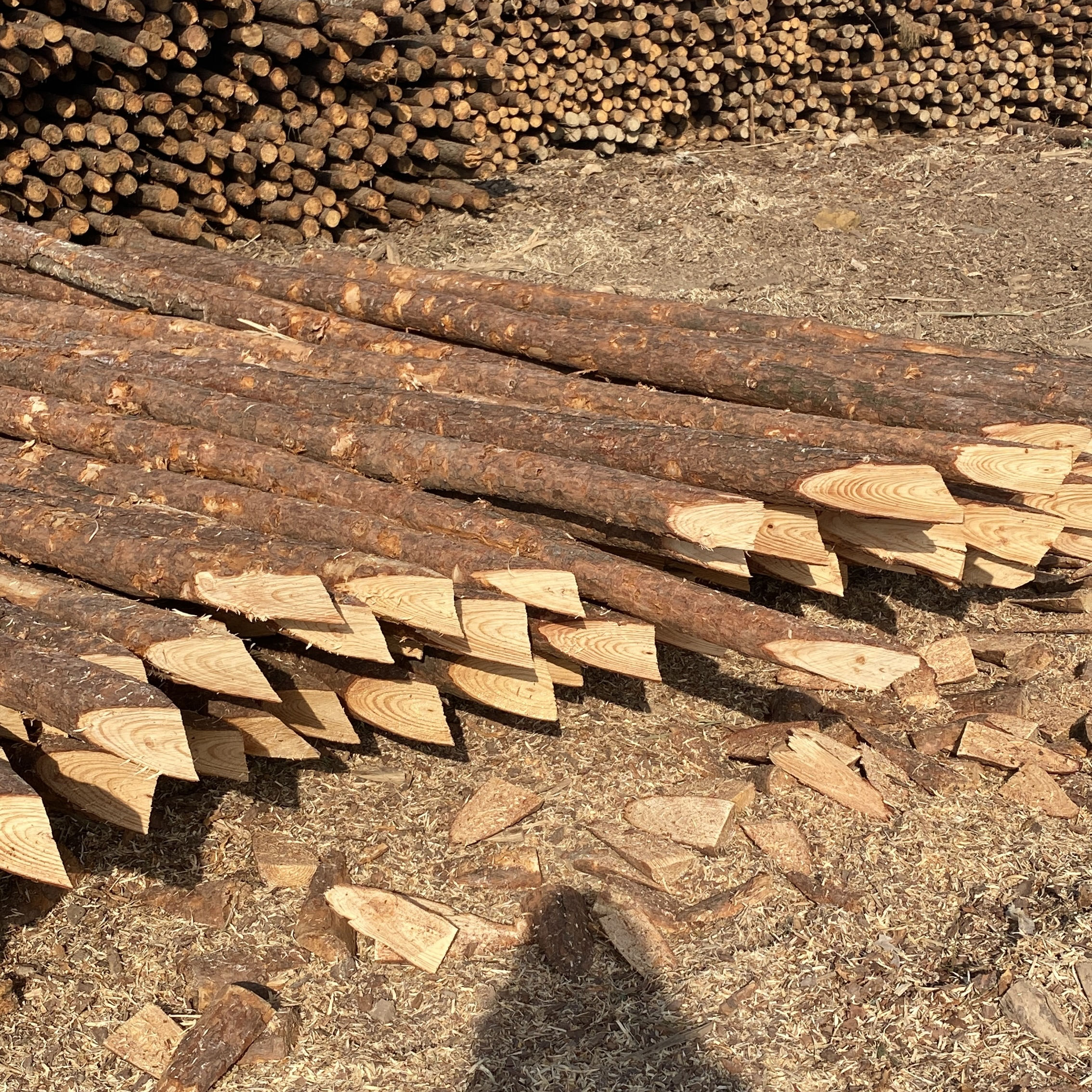 松木樁施工隊泓樺錦嘉-樁與樁之間的距離要求？