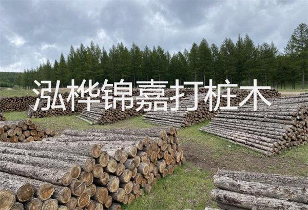 預(yù)制松木樁施工工藝：優(yōu)質(zhì)材料，高效快速，堅(jiān)固耐用