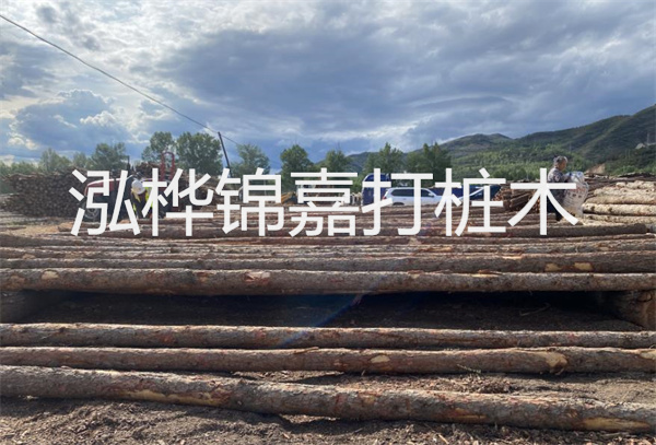 松木樁水下施工:無拖累,高效穩固!